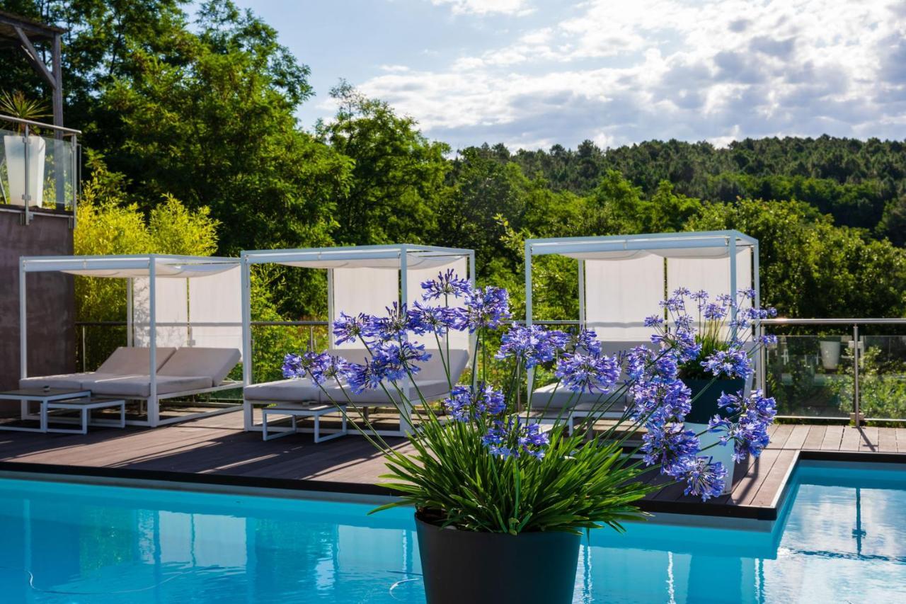 Domaine De Chalveches Hotel Spa 4* Faugeres  Экстерьер фото