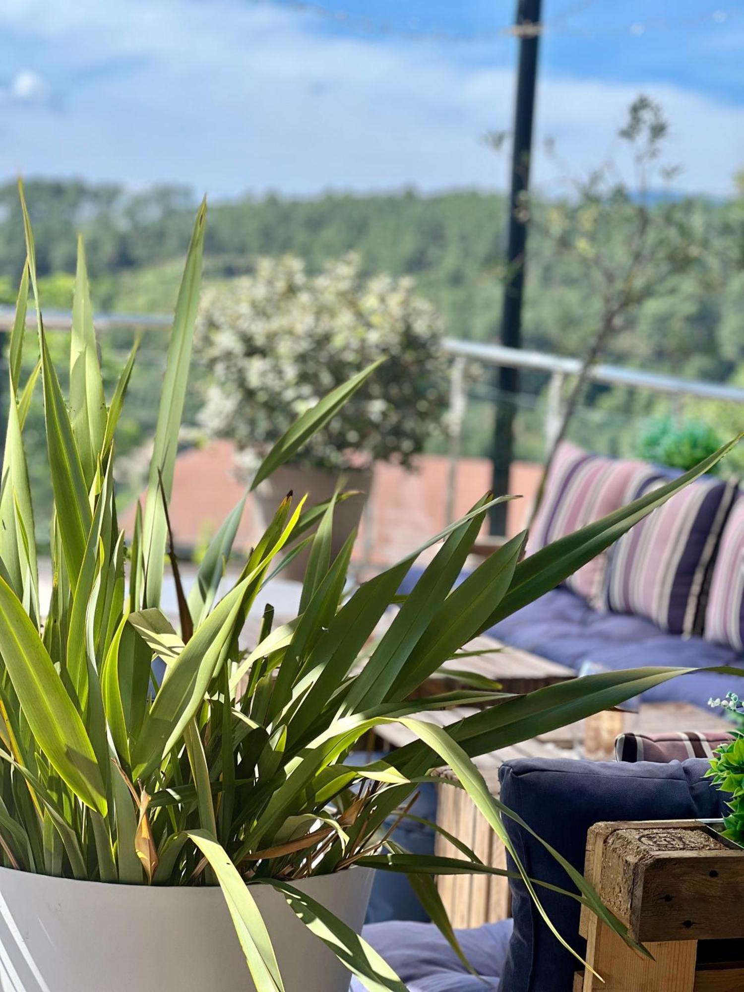 Domaine De Chalveches Hotel Spa 4* Faugeres  Экстерьер фото